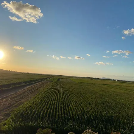 Restorant Pizzeri Anxhelo Kavaja